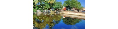 திங்களூர்